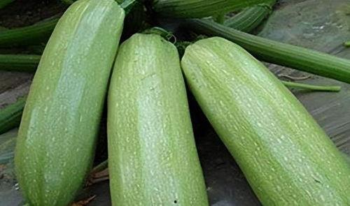 9吃瓜中心1今日吃瓜,今日热点吃瓜大盘点